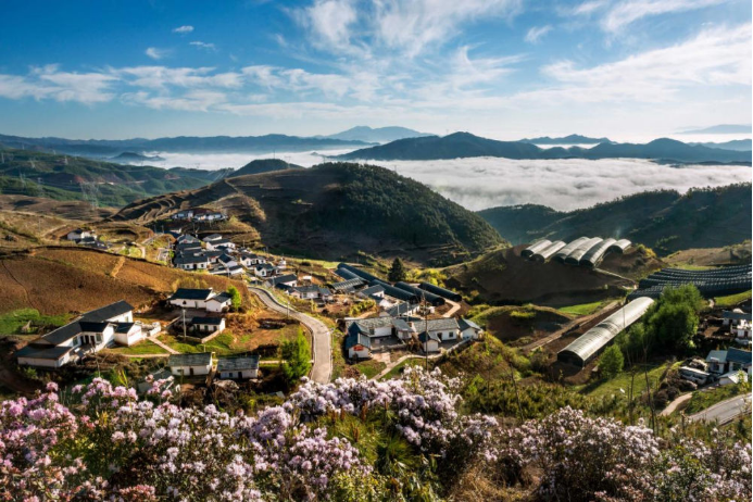10 jinnianhui金年会电气集团科技兴农 助力凉山火普村打造数字乡村804.png